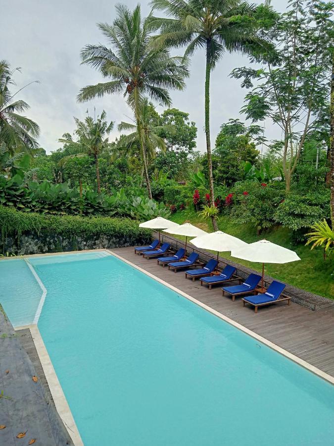 Teras Hotel Ijen Banyuwangi Banyuwangi  Exteriér fotografie